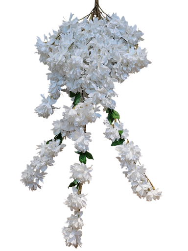 کلکی ڕێوی هەڵواسراو