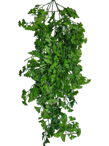 گەڵا هەڵواسراوەکان