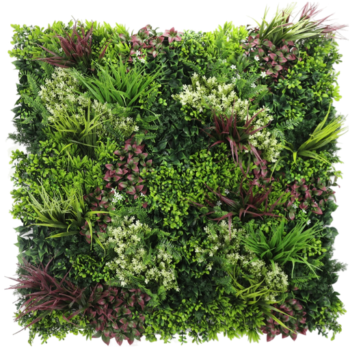 جدار أخضر خارجی