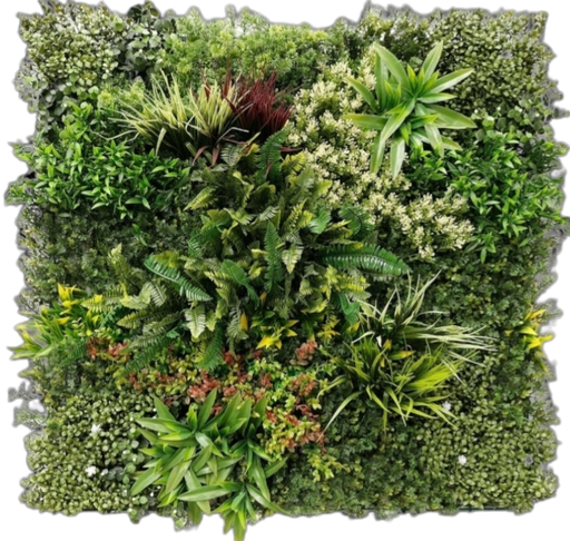 جدار أخضر خارجی