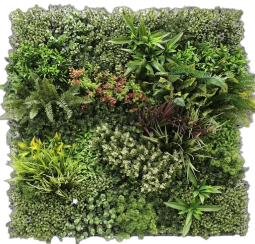 جدار أخضر خارجی