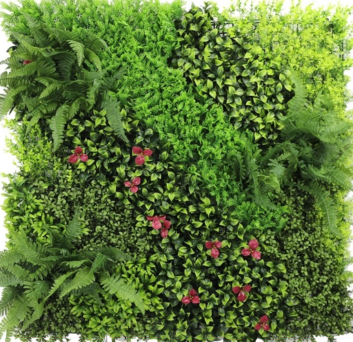 جدار أخضر خارجی