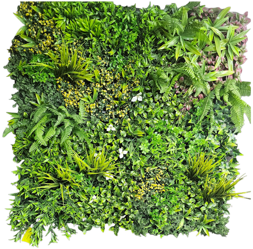 جدار أخضر خارجی