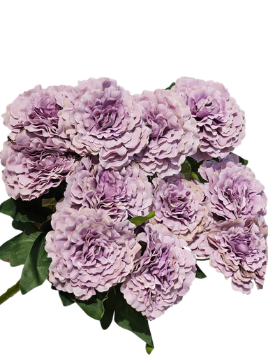 carnation