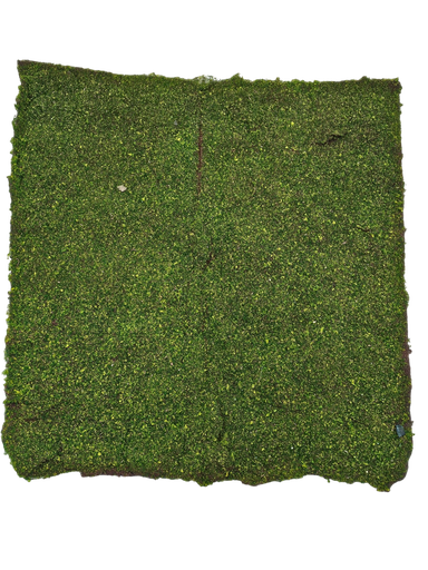 قەوزەی فەرش