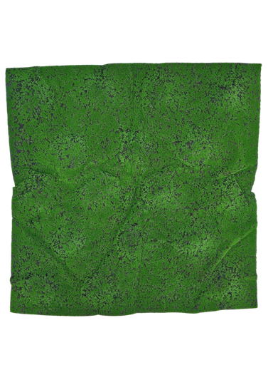 طحلب السجاد