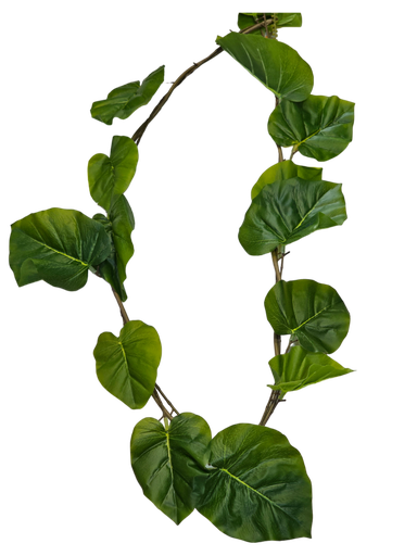 suspended large leafs