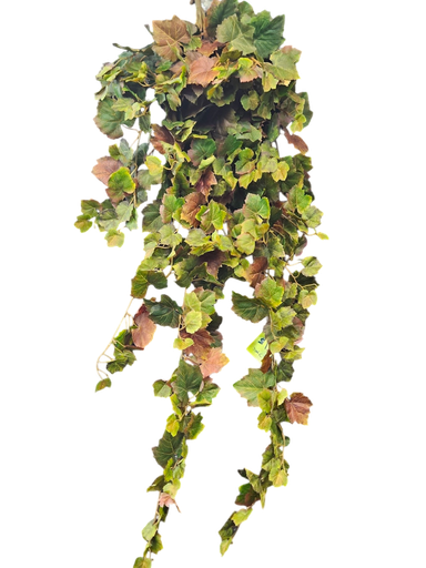 هيدرا الخريف