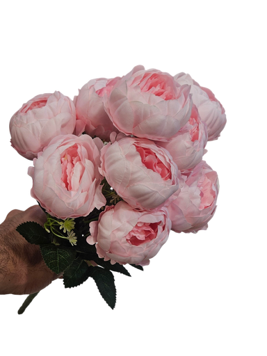 پیۆنی پەمەیی