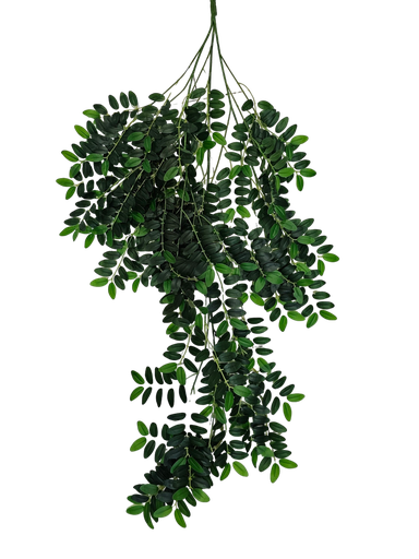 hanging leaves