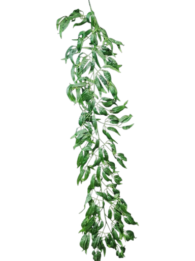 أوراق بطول 200 سم