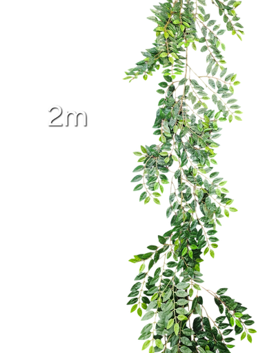 200 cm leaves