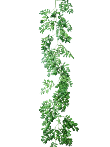 گەڵای 180 سانتیمەتر