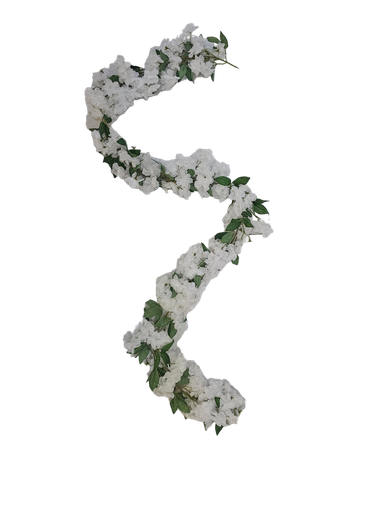 تاجەگوڵینەی گوڵ