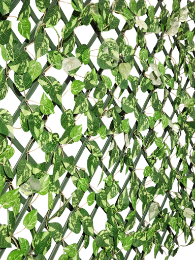 لوحة الكرمة