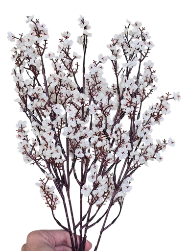 لقی خونچەی قۆخ