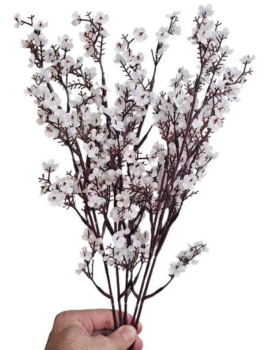 peach blossom branch