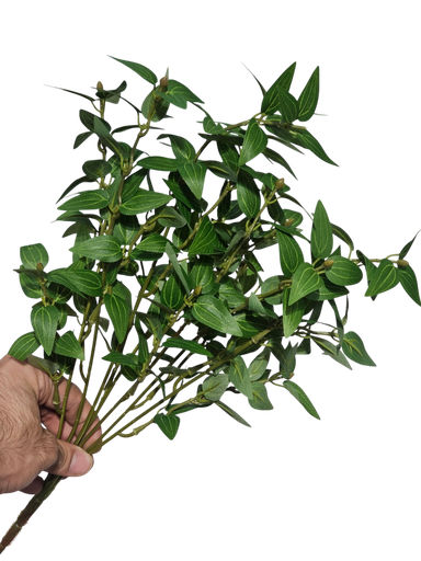 foliage branches