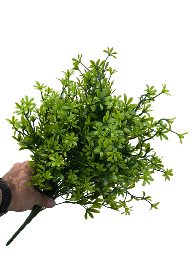 سەوزایی