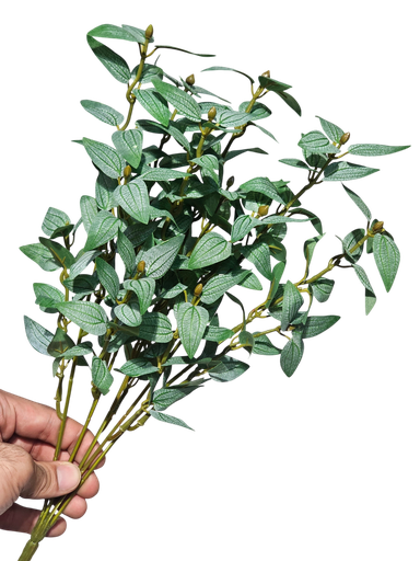 foliage branches
