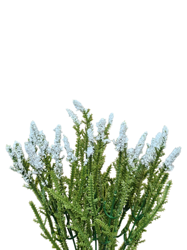 فروع الأوراق