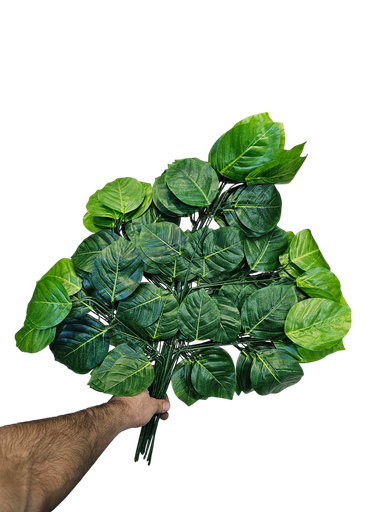 دزينة من الأوراق