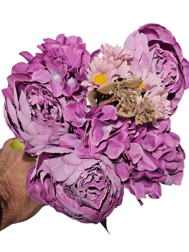 هایدرانج و پیۆنی