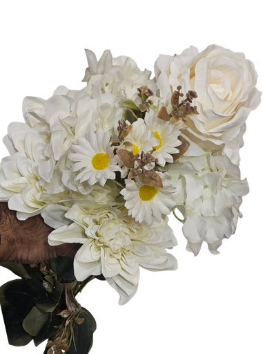 هایدرانج و پیۆنی