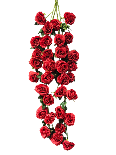 الوردة الطويلة