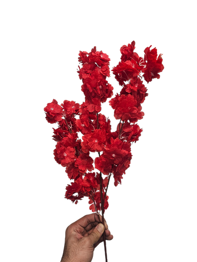 ذيل الثعلب الأحمر