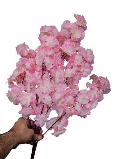 ذيل الثعلب الوردي