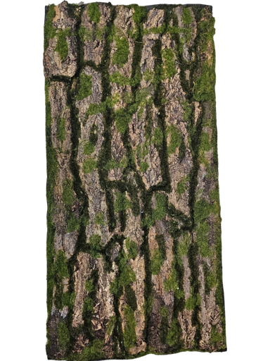 کۆلکە داری طبقە 50*100 سانتیم