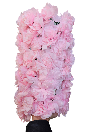 زهرة نصف أسطوانة