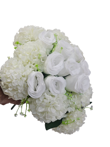 White Rose Flowers