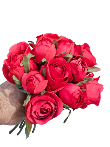 الزهرة الحمراء