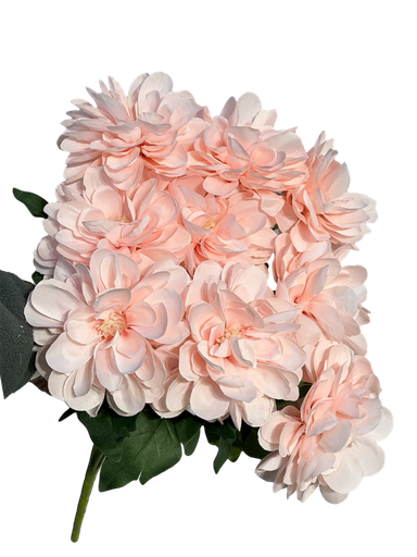 زهرة الجيربيرا الوردية