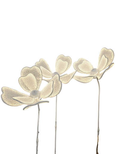 دیکۆری ستاندی گوڵەکان