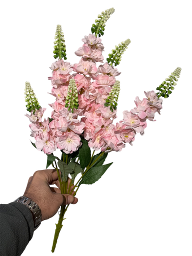 زهرة الوستارية