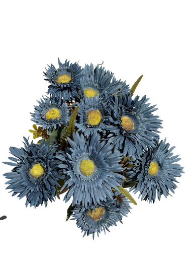 Daisy blue