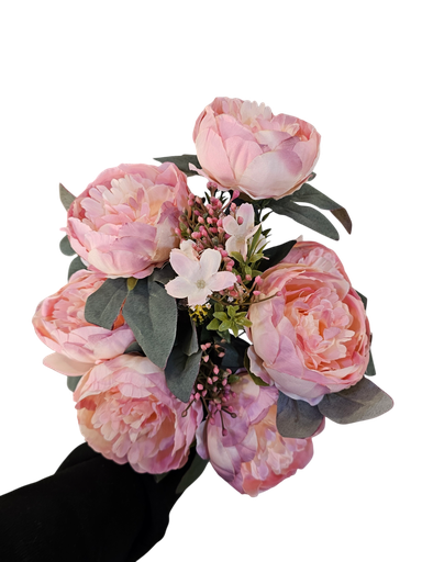 گوڵی تەماتە