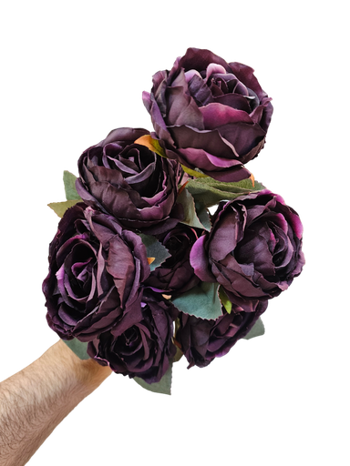 گوڵ