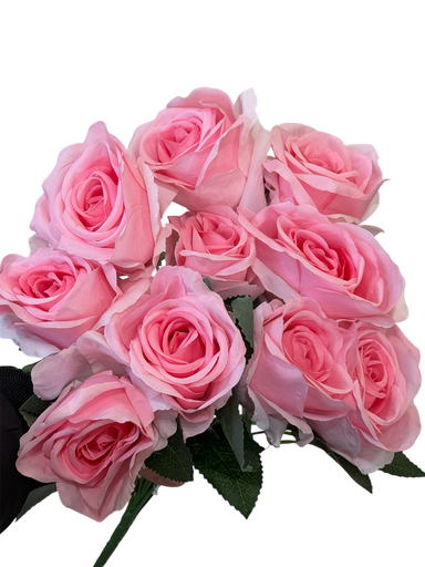 گوڵ