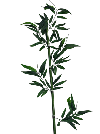 BAMBOO 1.5M