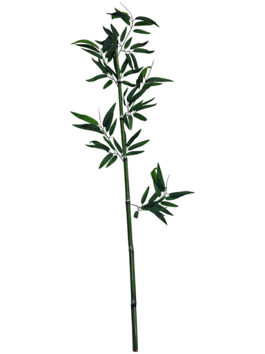 BAMBOO 2M