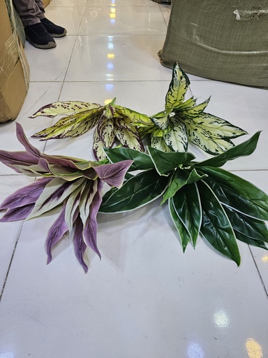 چەپکی زەوز