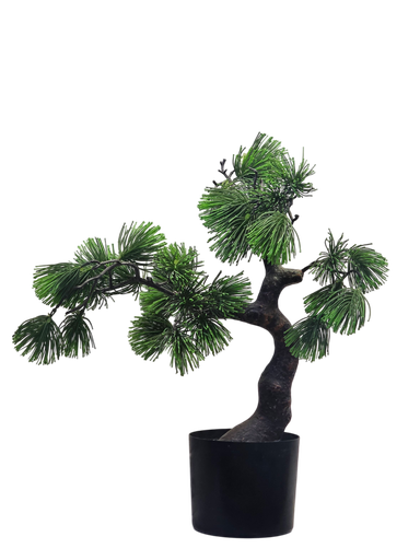 Bonsai tree