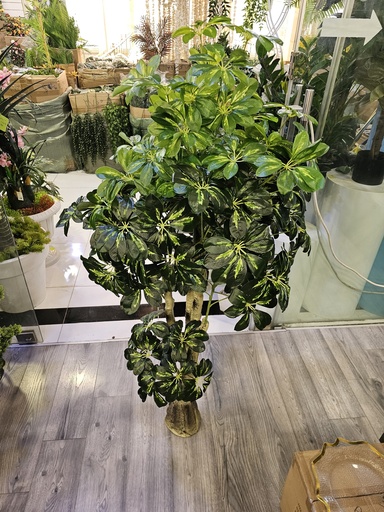 دار