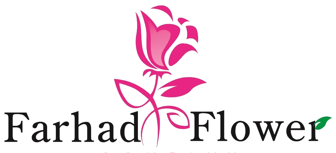 My Website